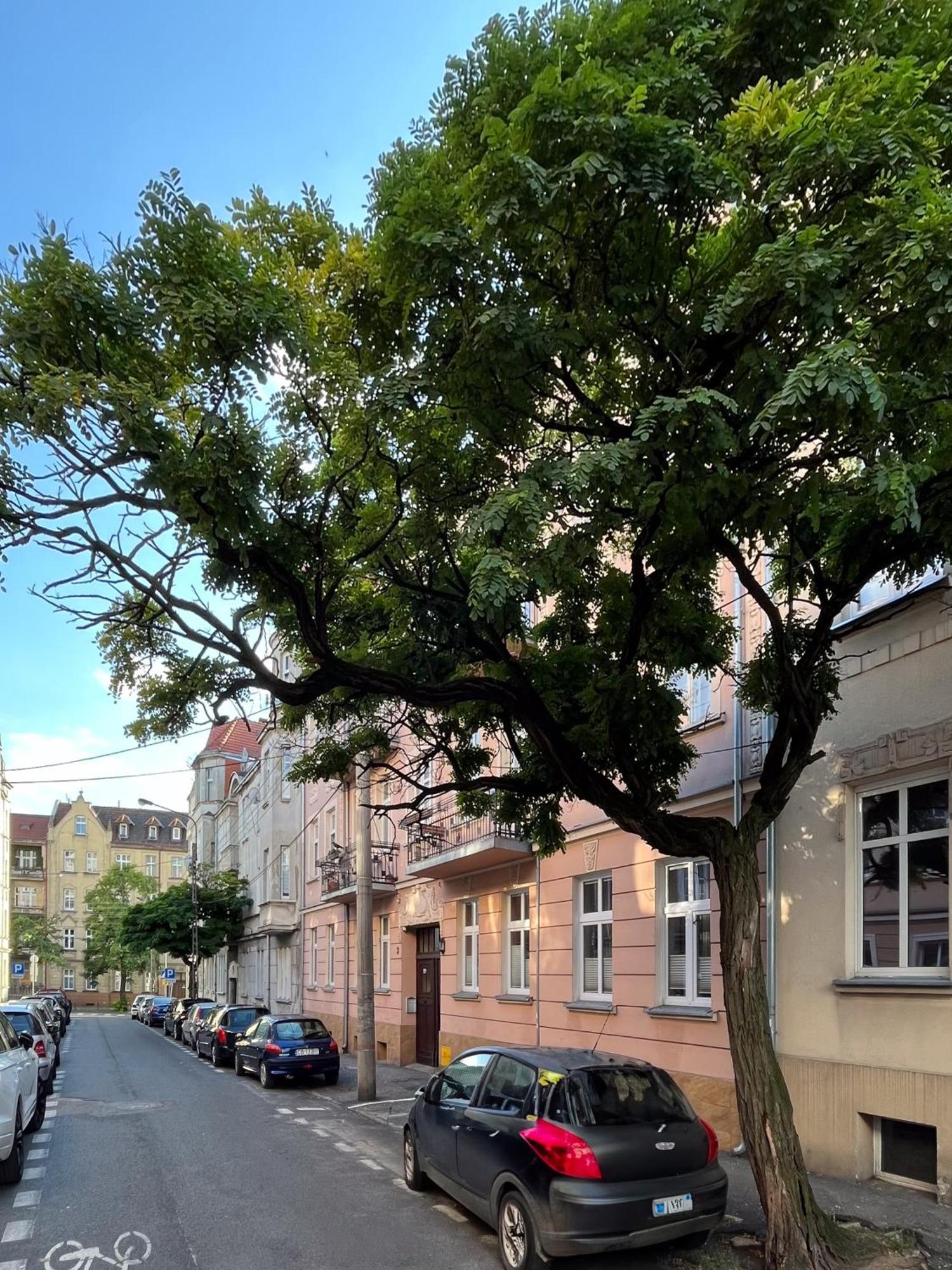 Apartament Dlugosza 3 - Jak W Domu - Idealny Na Dlugie Pobyty I Weekendy Bydgoszcz Zewnętrze zdjęcie